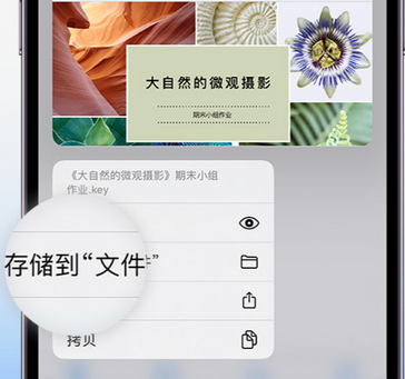 灌云apple维修中心分享iPhone文件应用中存储和找到下载文件