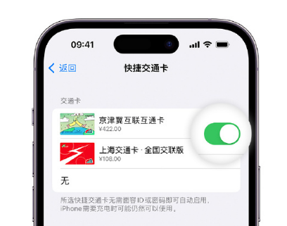 灌云apple维修点分享iPhone上更换Apple Pay快捷交通卡手绘卡面 