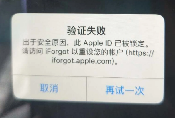 灌云iPhone维修分享iPhone上正常登录或使用AppleID怎么办 