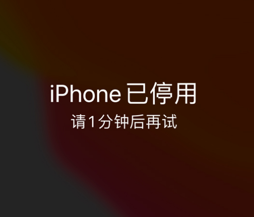 灌云苹果手机维修分享:iPhone 显示“不可用”或“已停用”怎么办？还能保留数据吗？ 