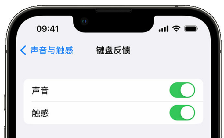 灌云苹果手机维修分享iPhone 14触感键盘使用方法 