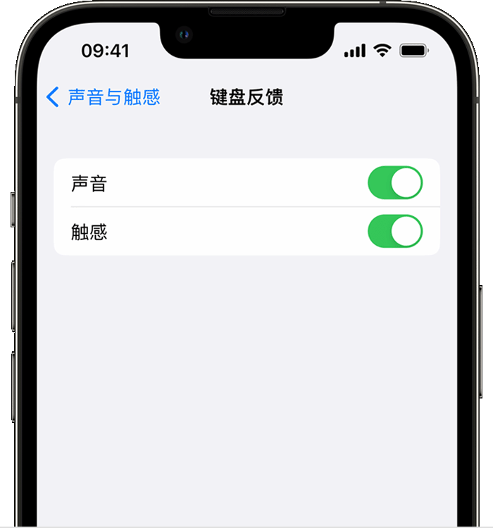 灌云苹果14维修店分享如何在 iPhone 14 机型中使用触感键盘 