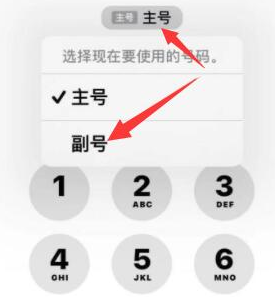 灌云苹果14维修店分享iPhone 14 Pro Max使用副卡打电话的方法 