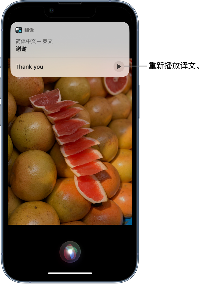 灌云苹果14维修分享 iPhone 14 机型中使用 Siri：了解 Siri 能帮你做什么 