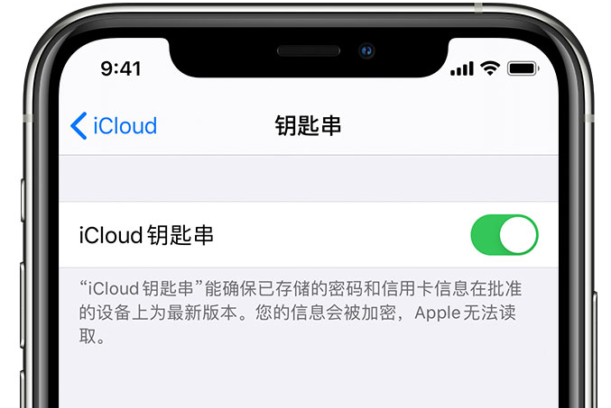 灌云苹果手机维修分享在 iPhone 上开启 iCloud 钥匙串之后会储存哪些信息 