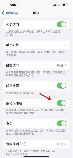 灌云苹果手机维修分享iPhone手机如何设置摇一摇删除文字 